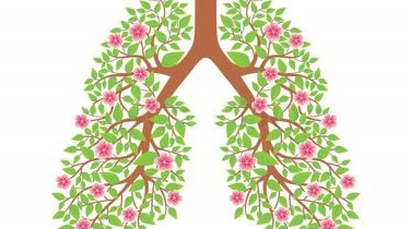 Как лечить бронхиальную астму народными средствами в домашних условиях