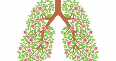 Как лечить бронхиальную астму народными средствами в домашних условиях