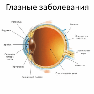 Нарушения зрения и глазные болезни